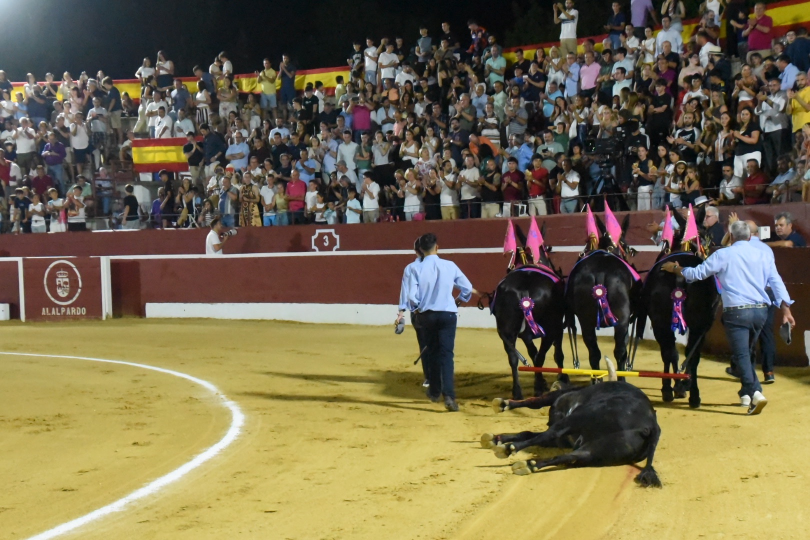 Imagen 8
