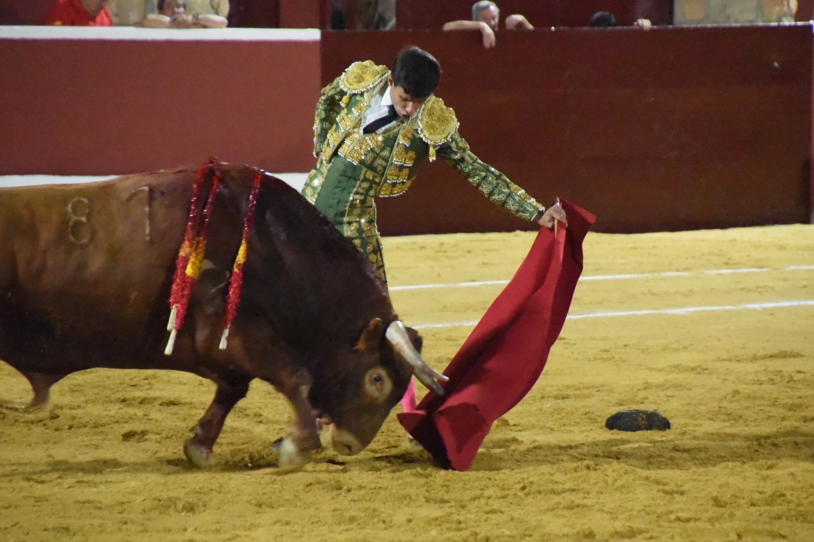 Imagen 9