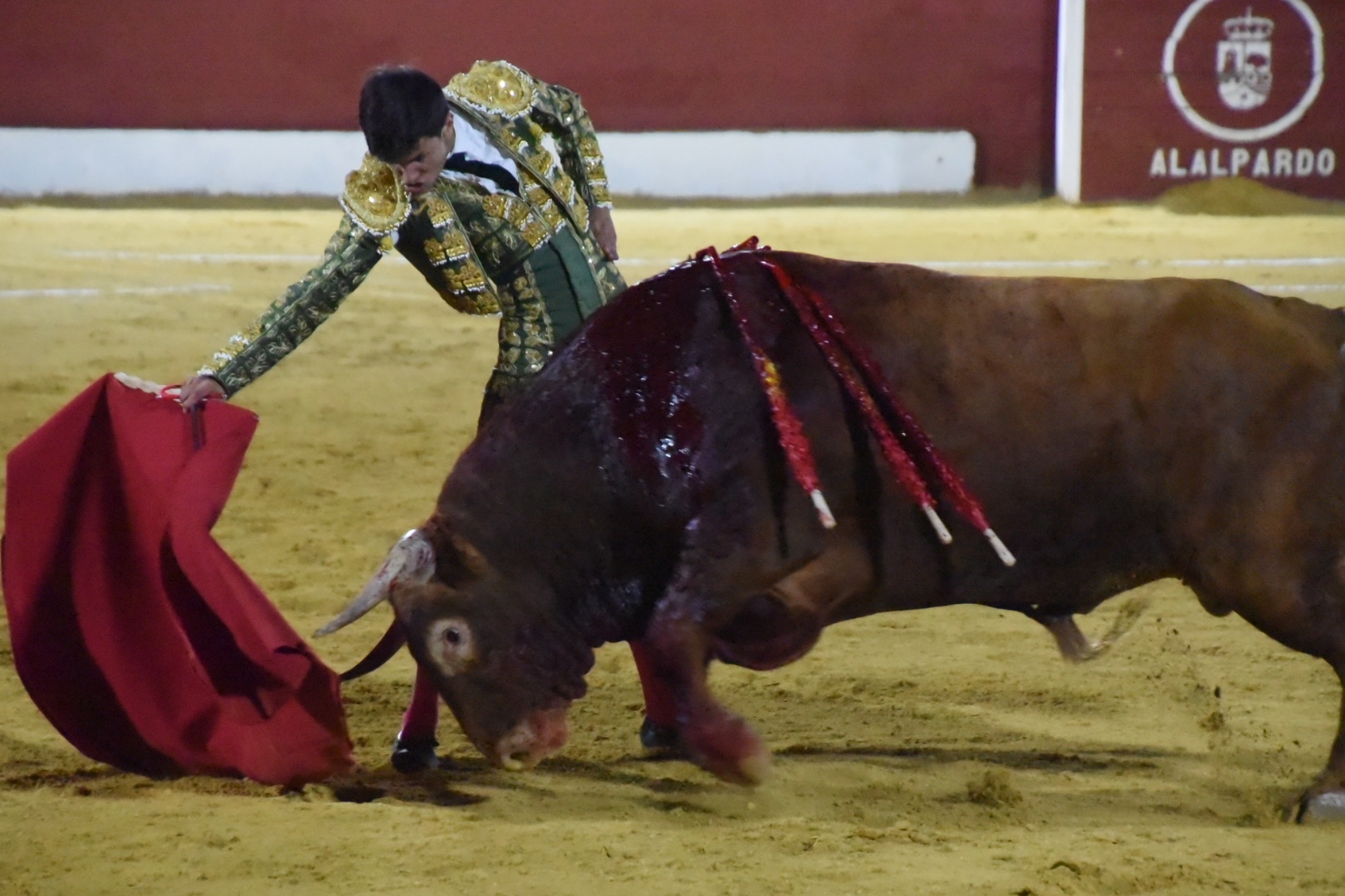 Imagen 10