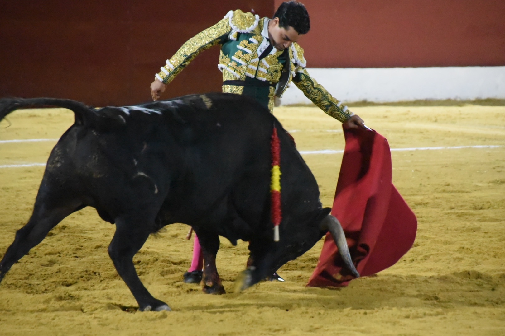 Imagen 11