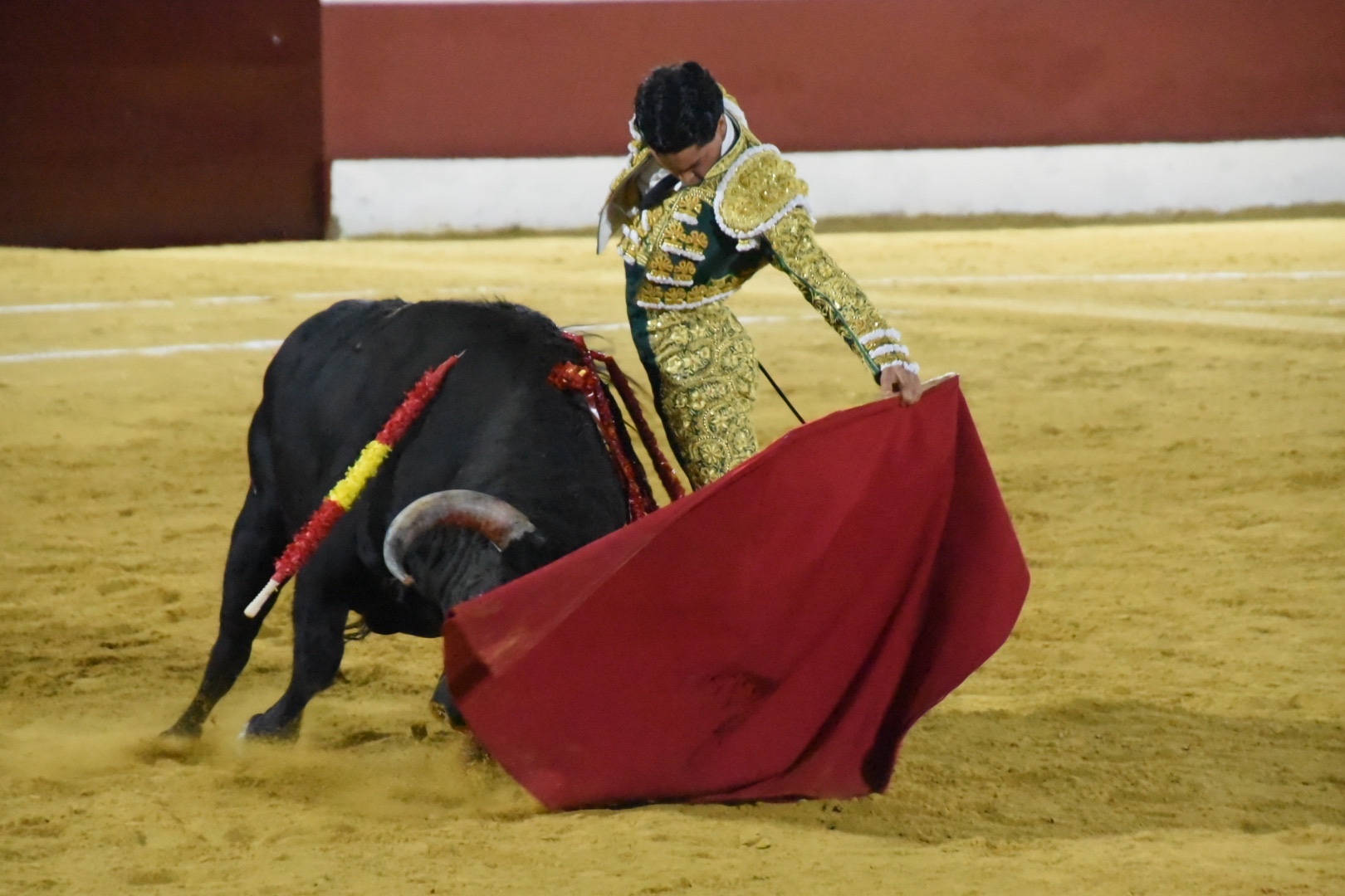Imagen 12