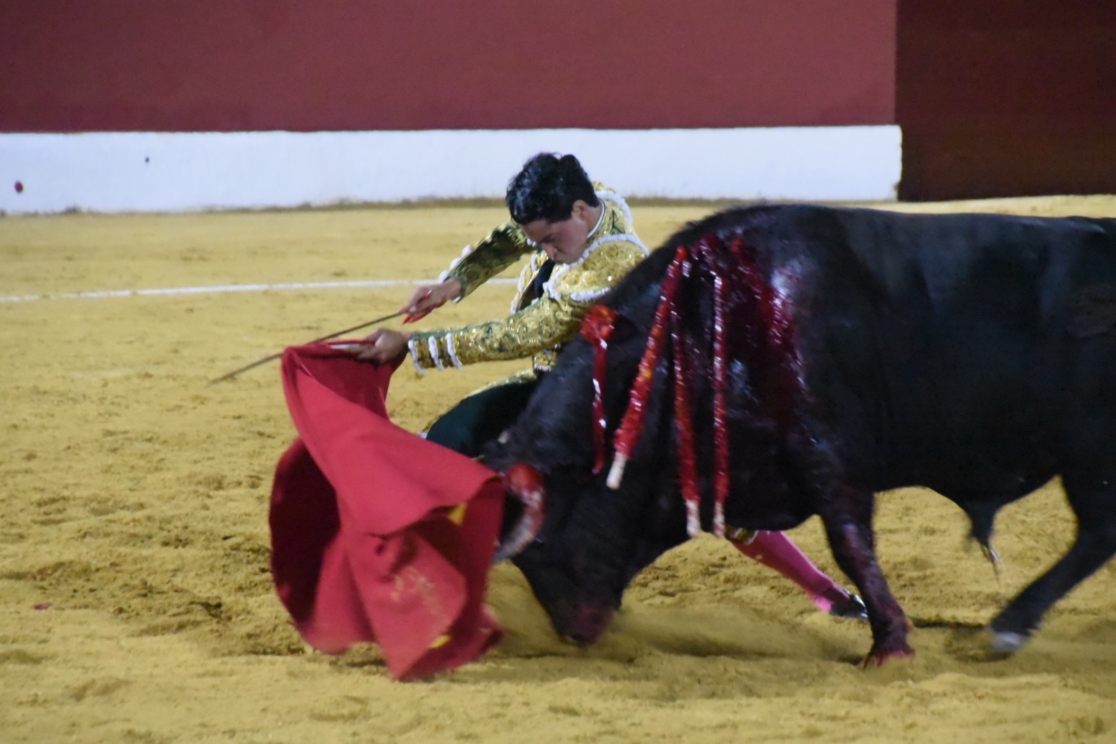 Imagen 13