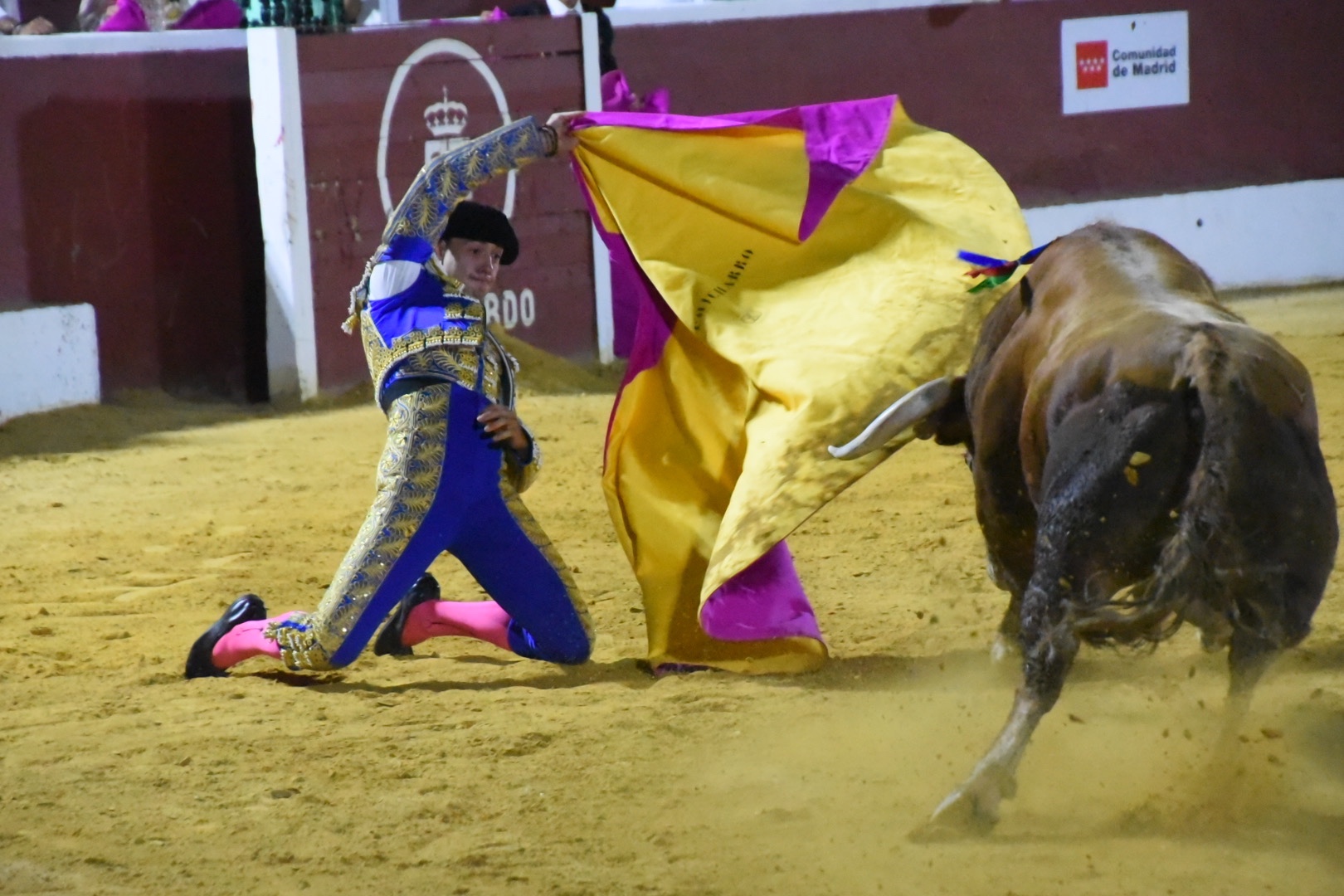 Imagen 14