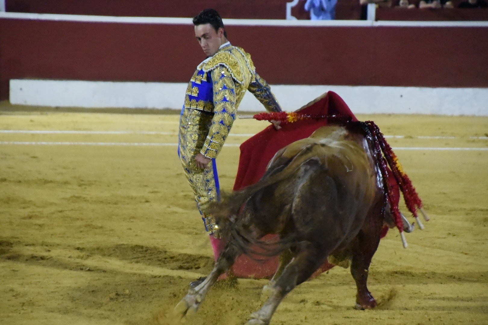 Imagen 15