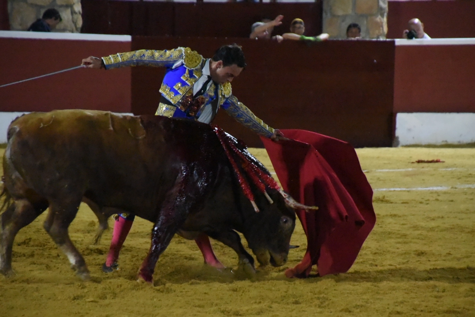 Imagen 16