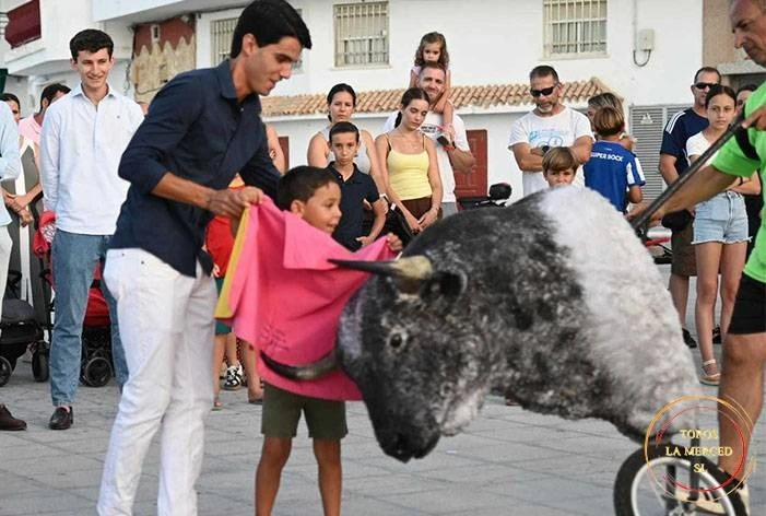Imagen 13
