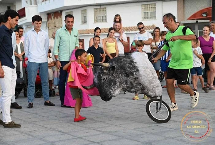 Imagen 14