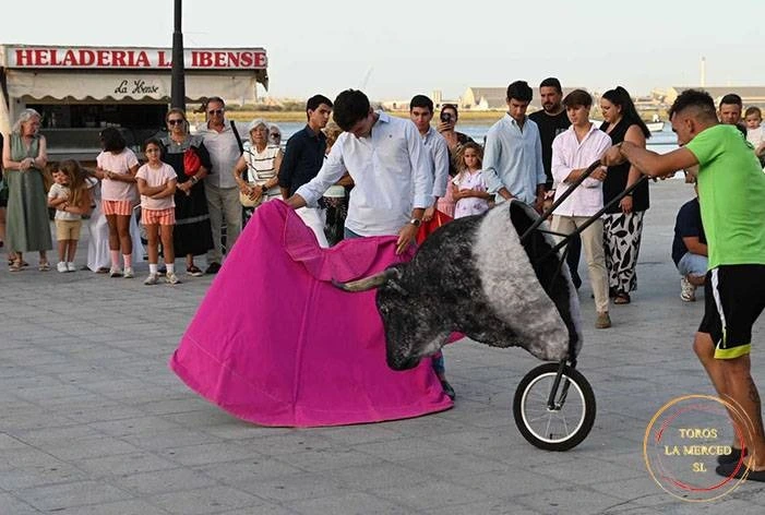 Imagen 19