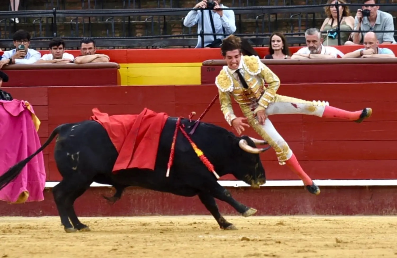 Imagen 2
