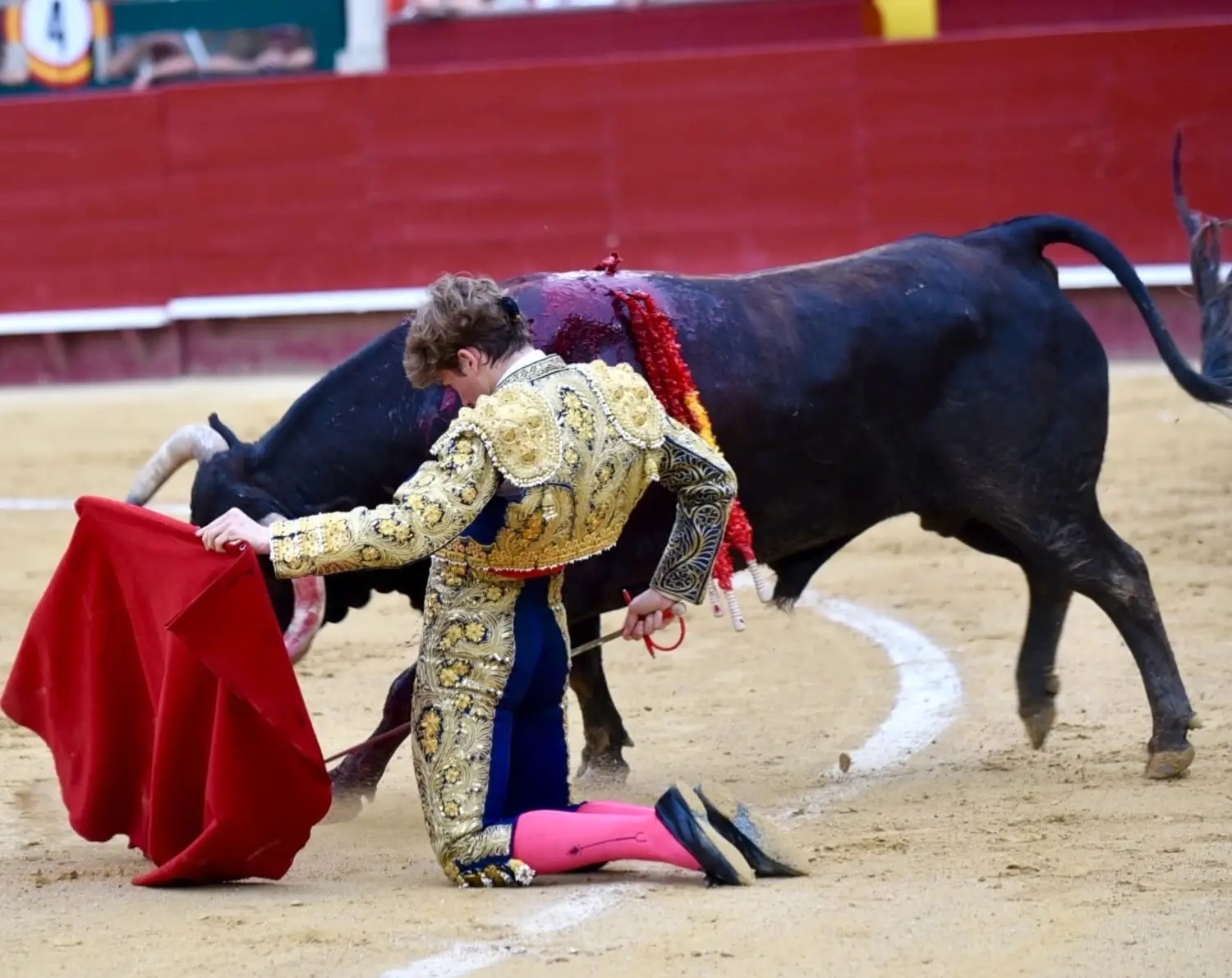 Imagen 2