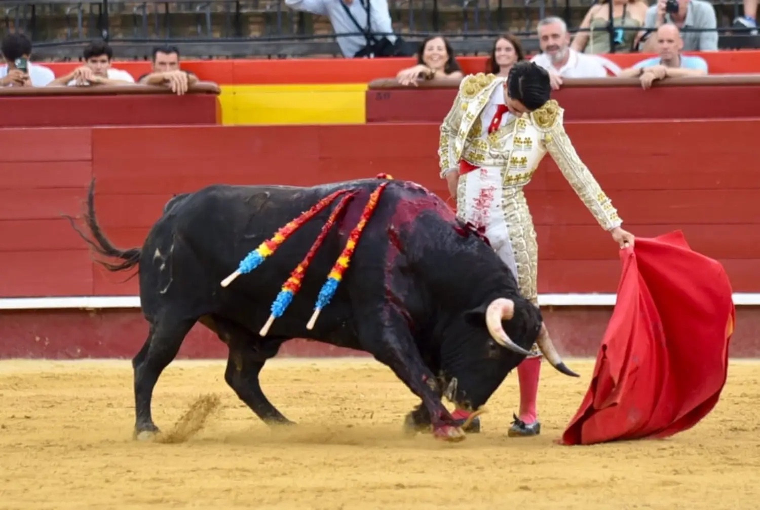 Imagen 5