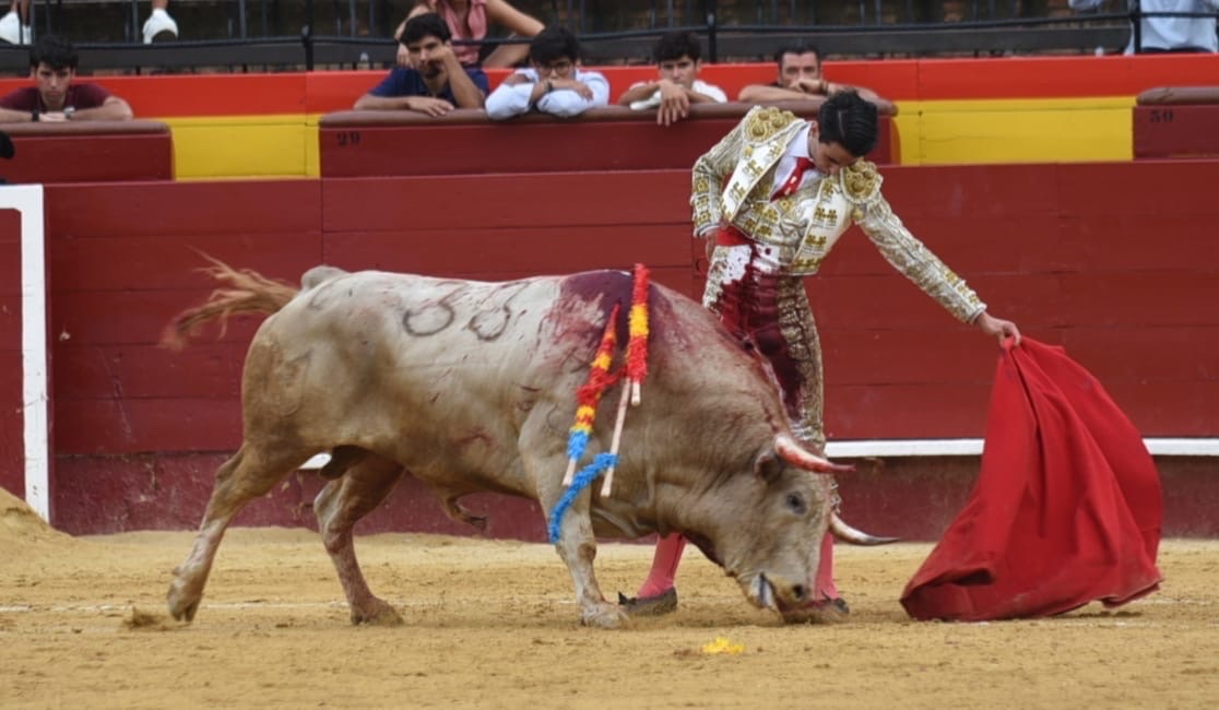 Imagen 6