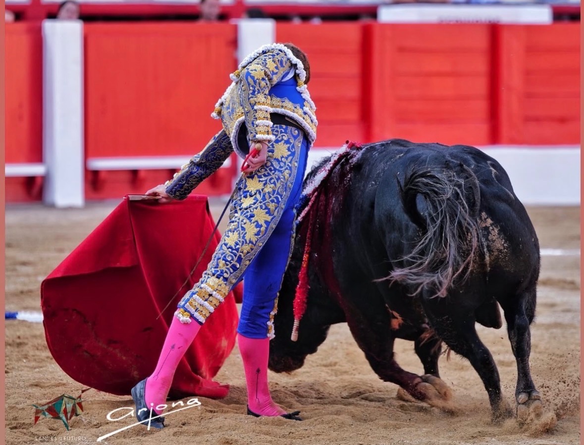 Imagen 1