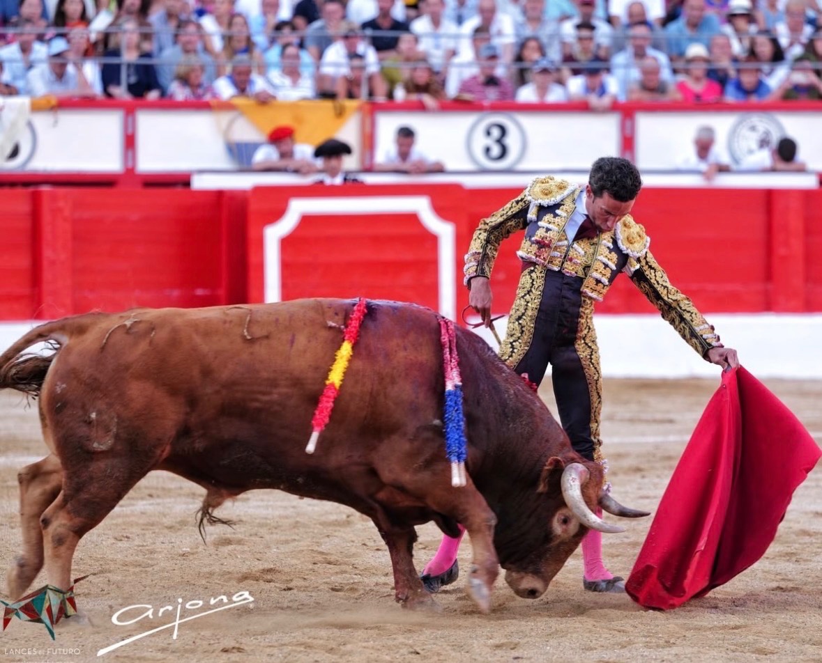 Imagen 2