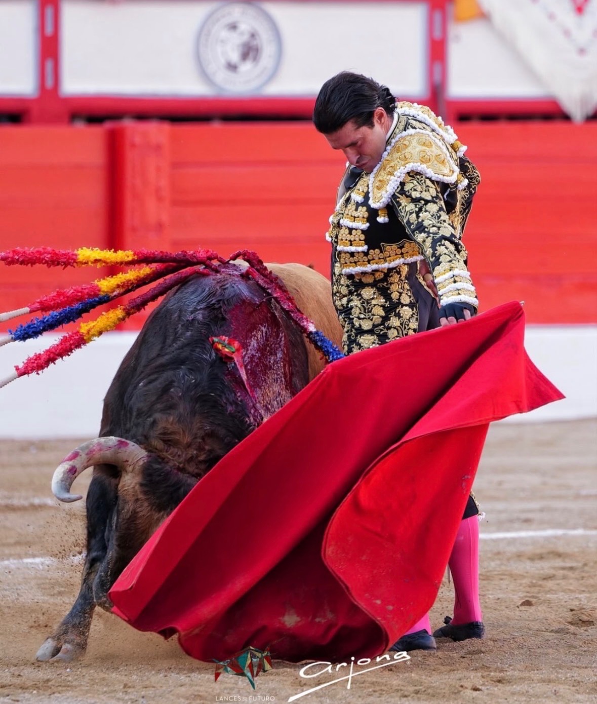 Imagen 4