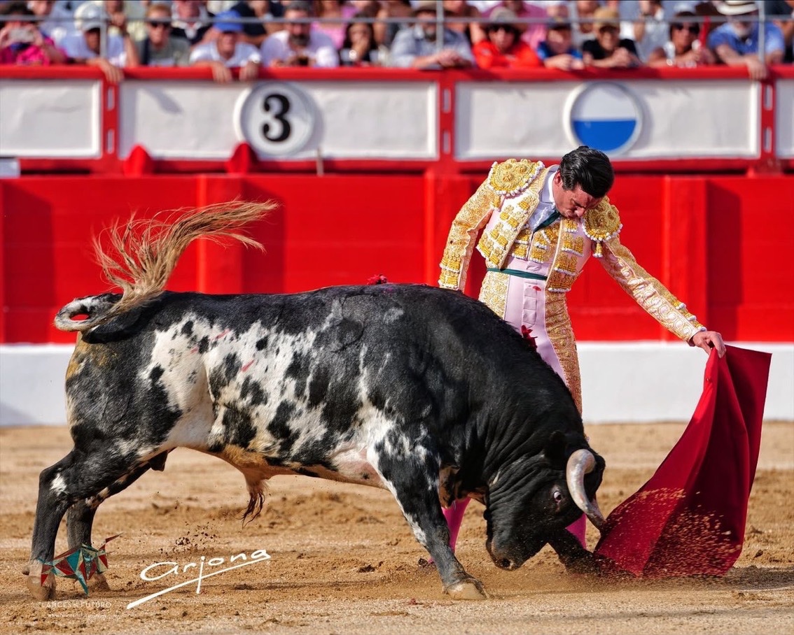 Imagen 2