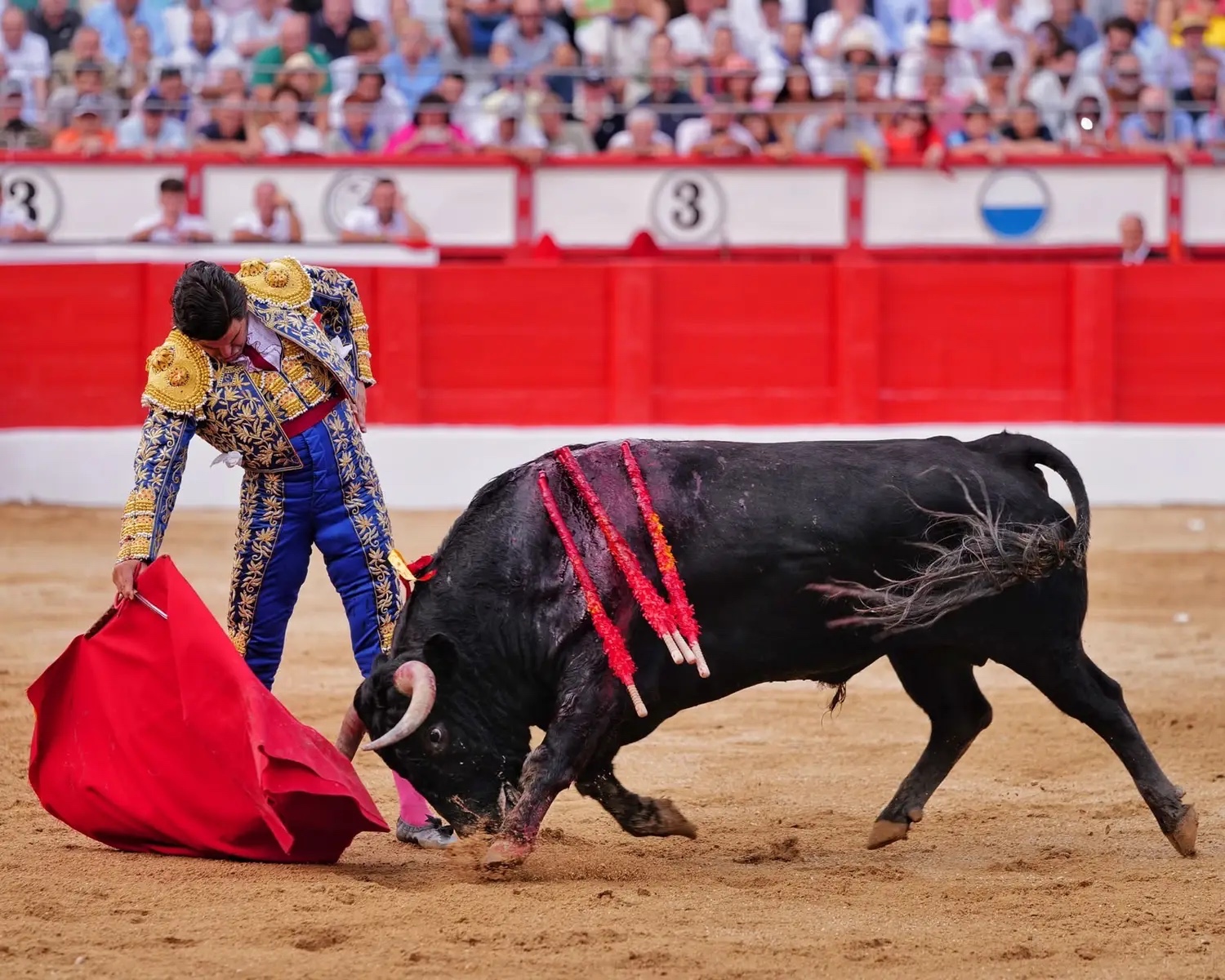 Imagen 5