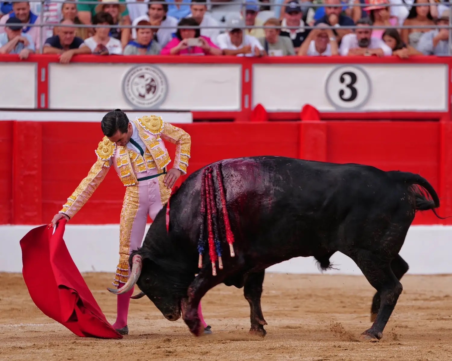 Imagen 6