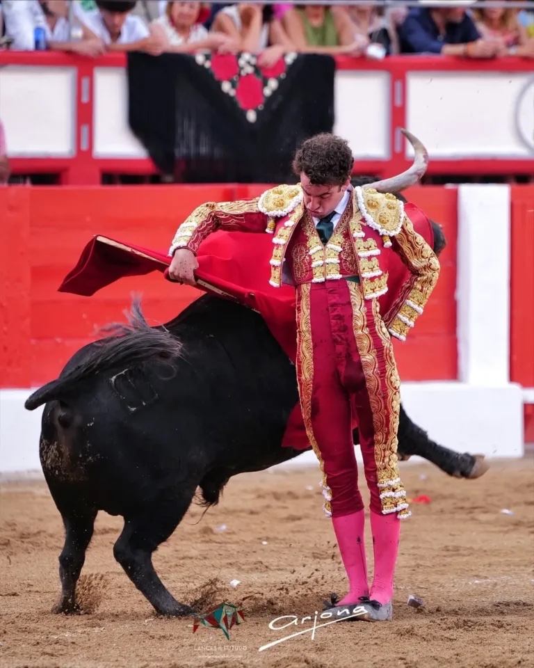 Imagen 7