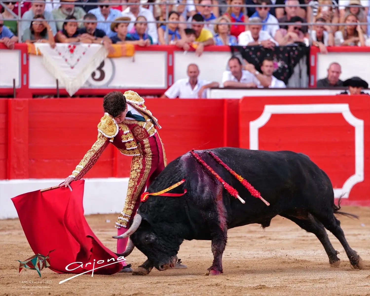 Imagen 2
