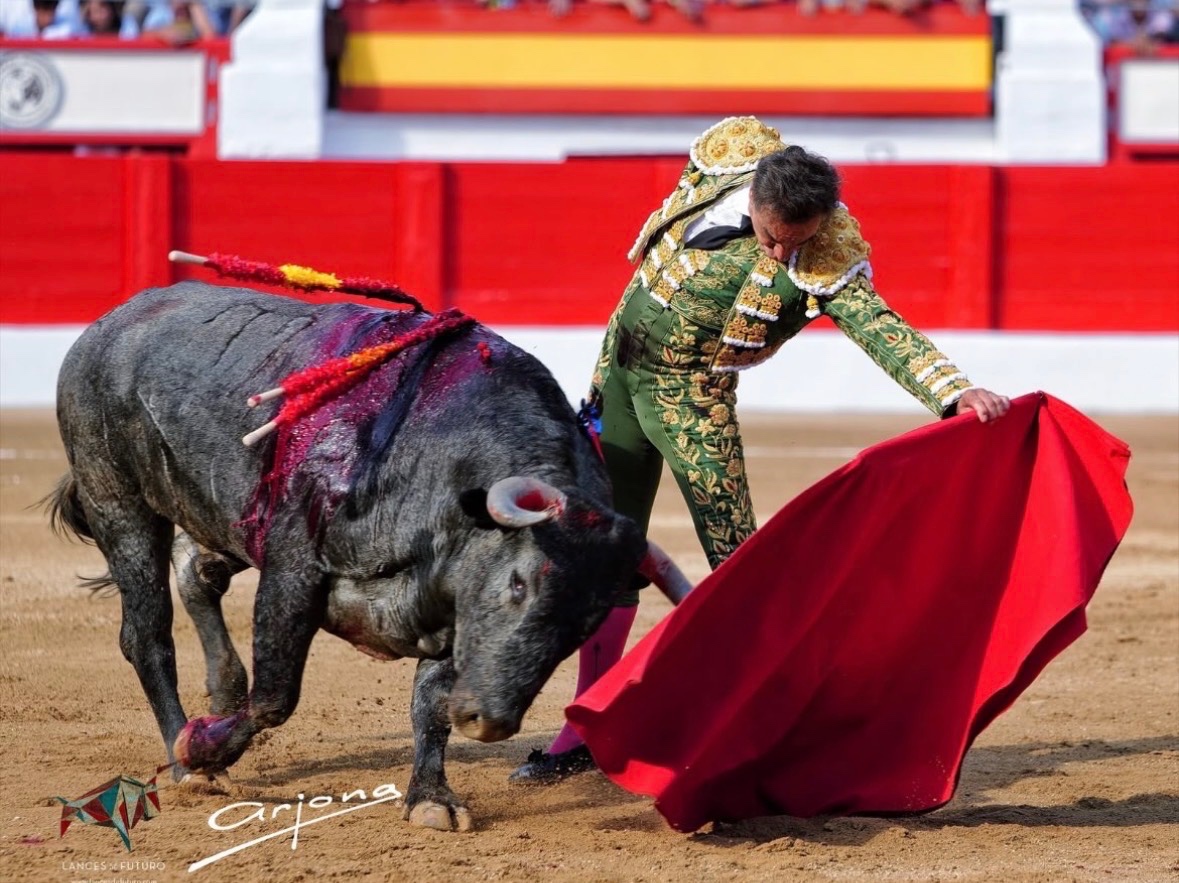 Imagen 4