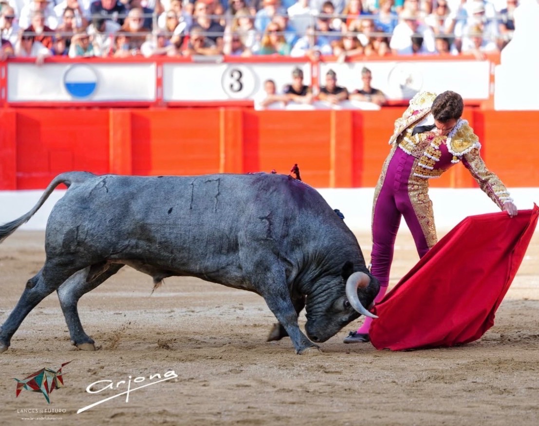 Imagen 5