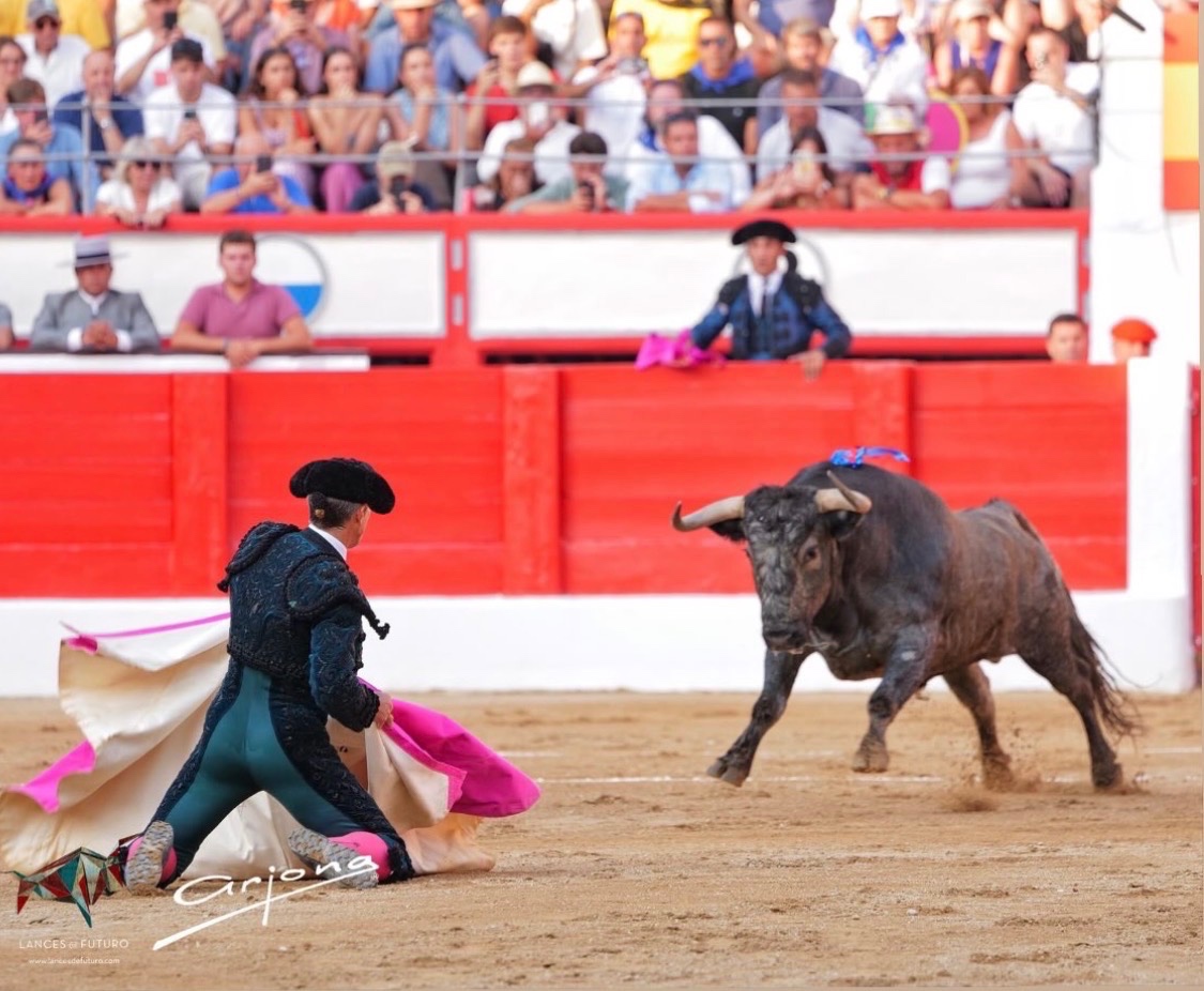Imagen 6