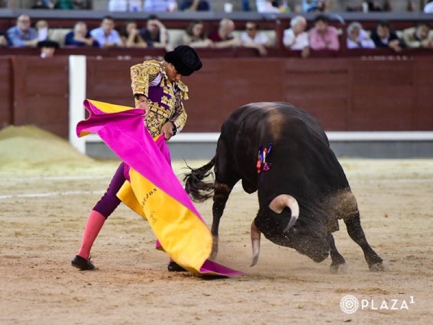 Imagen 1