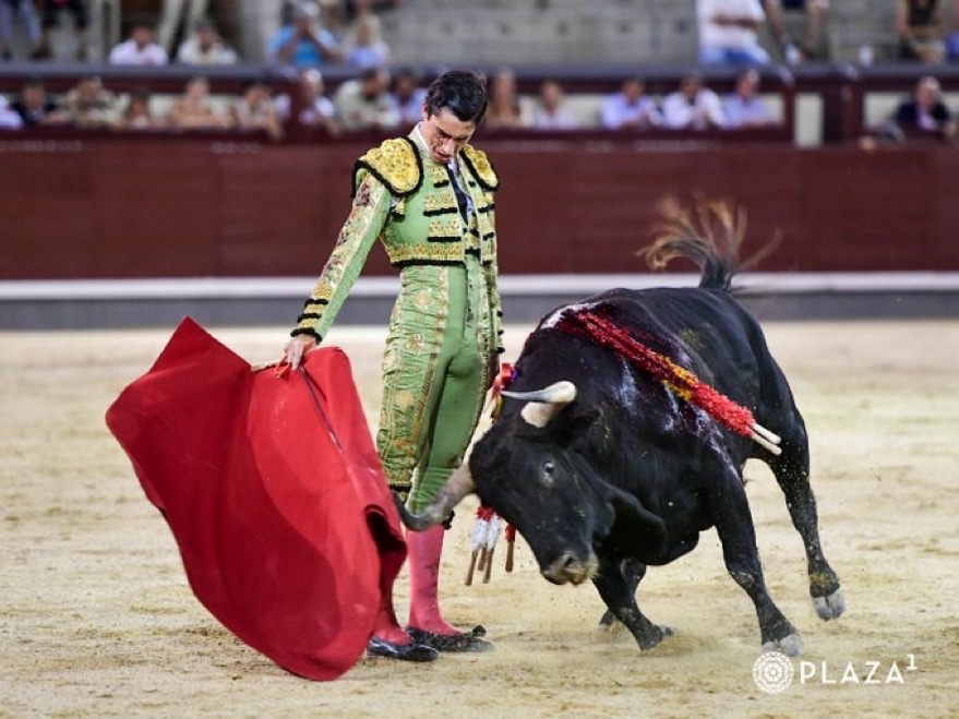Imagen 2
