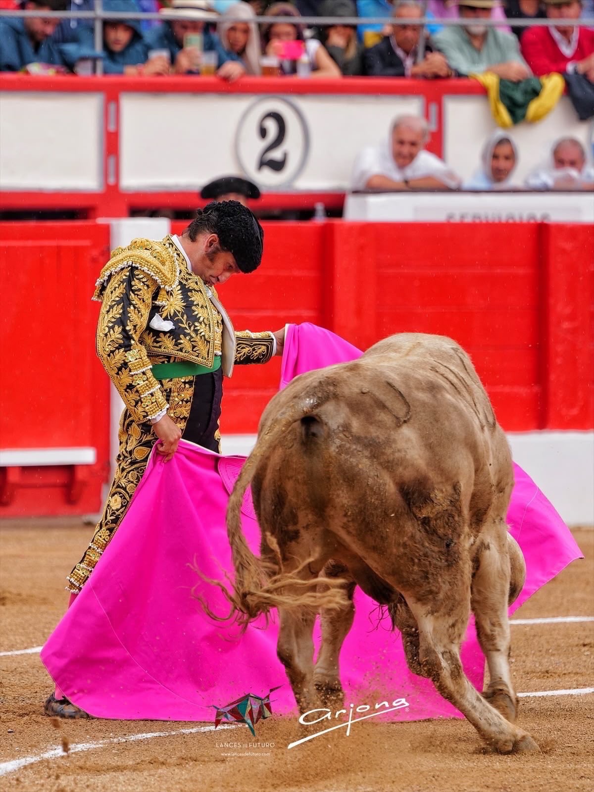 Imagen 1