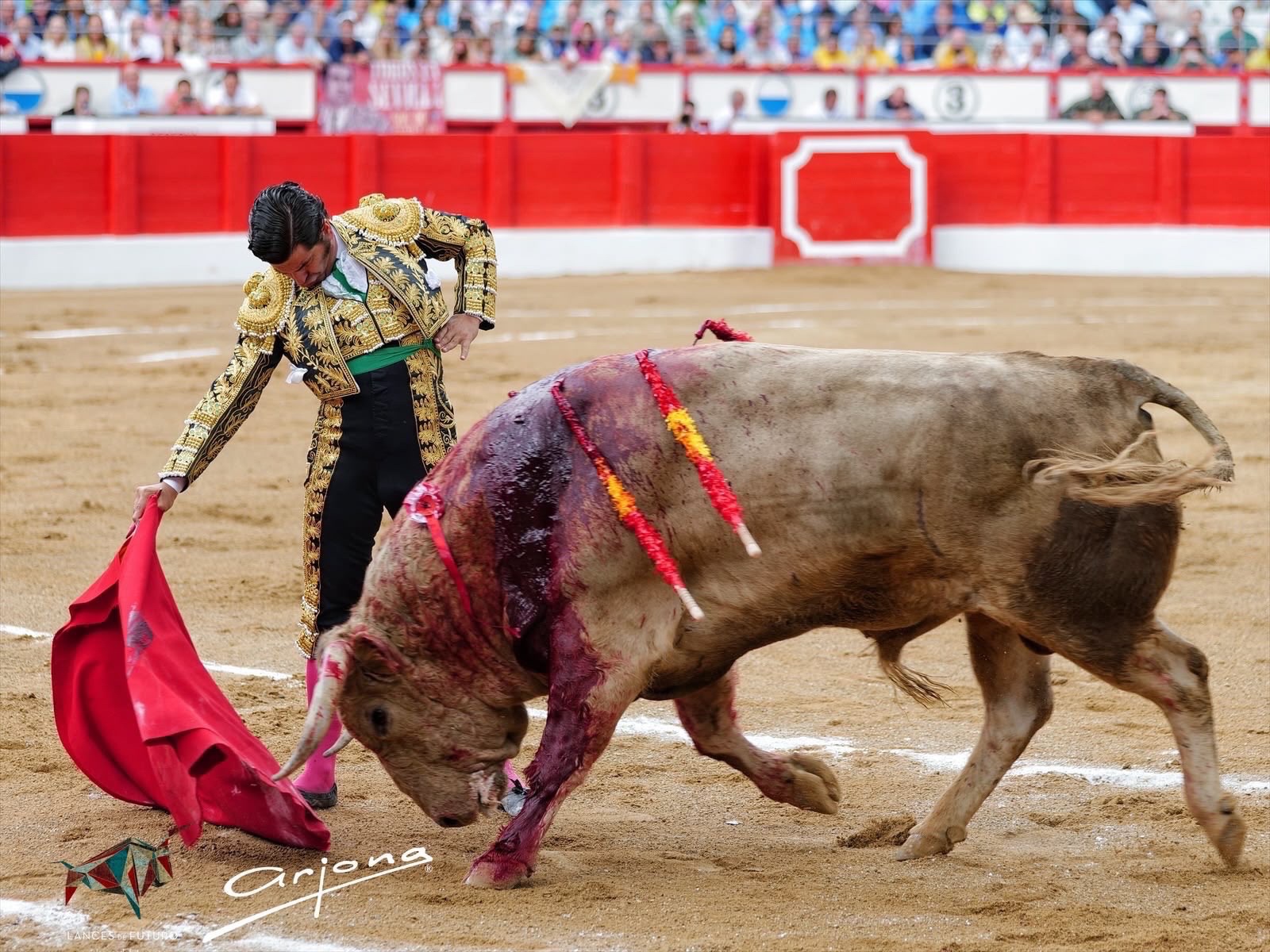 Imagen 2