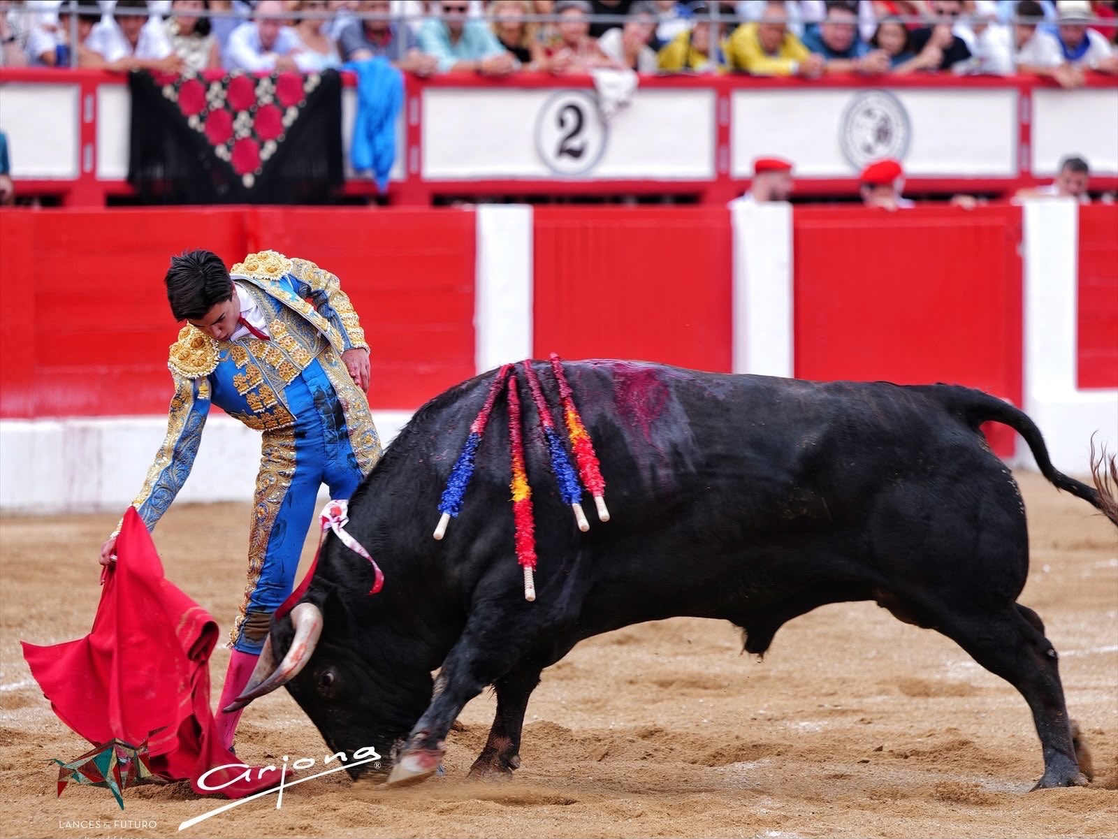 Imagen 5