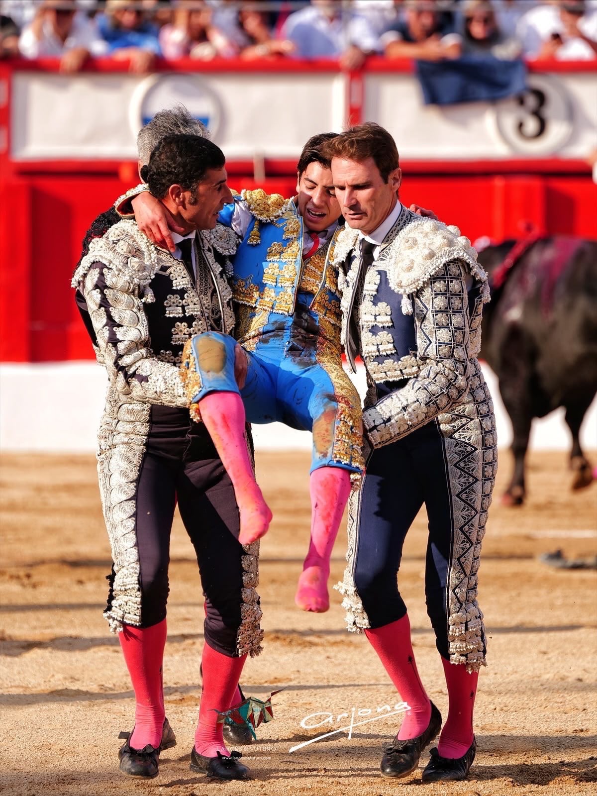 Imagen 6
