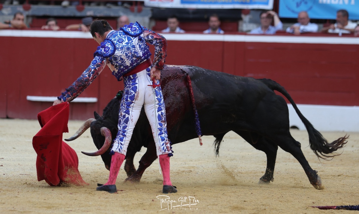 Imagen 1
