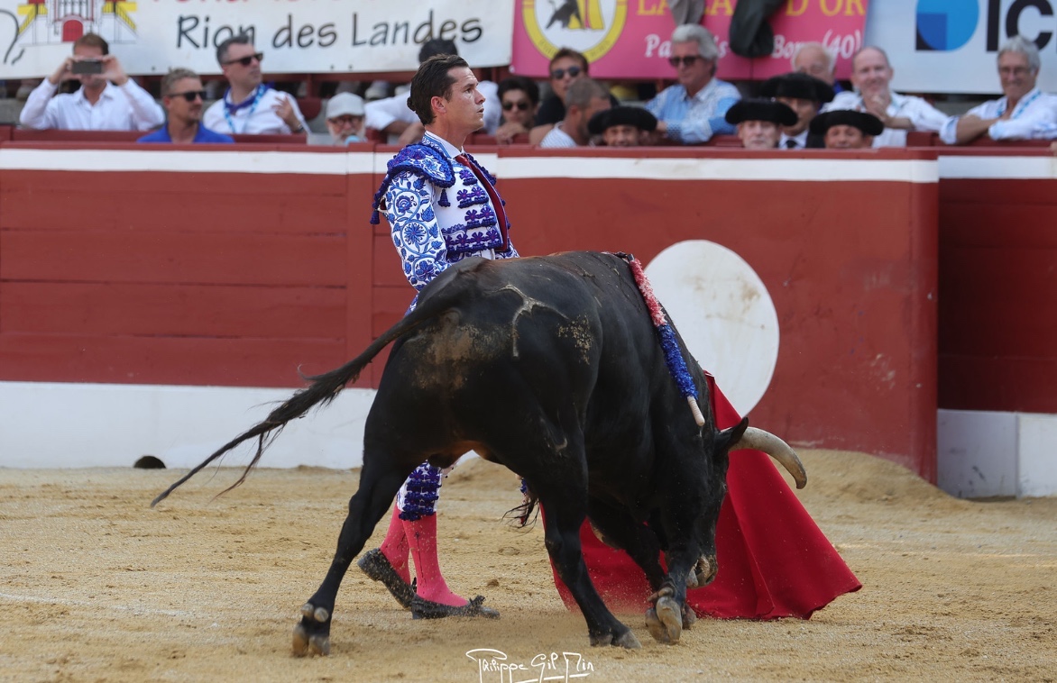 Imagen 2