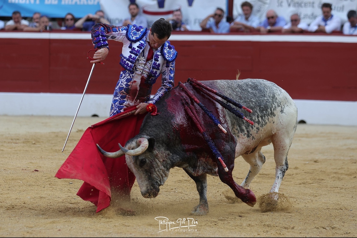 Imagen 5