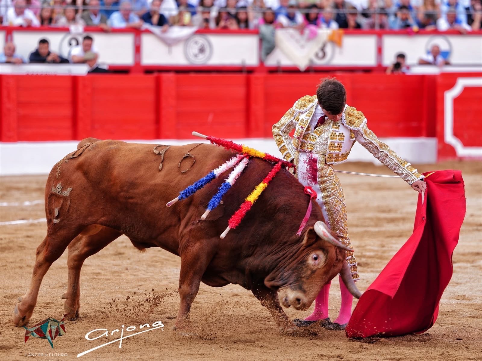 Imagen 8