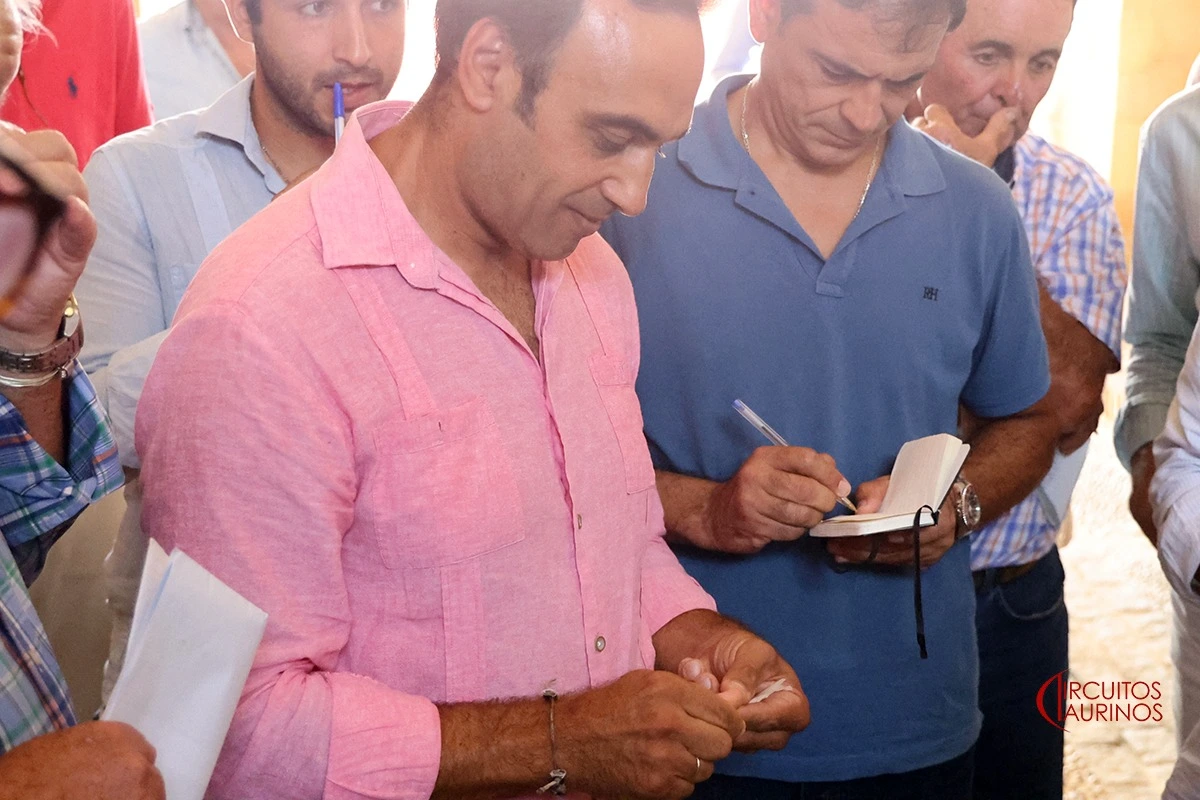 Imagen 7