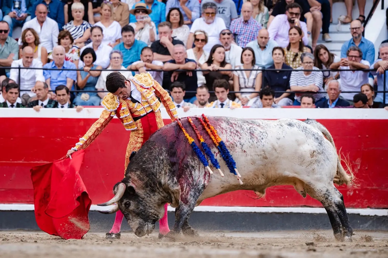 Imagen 1