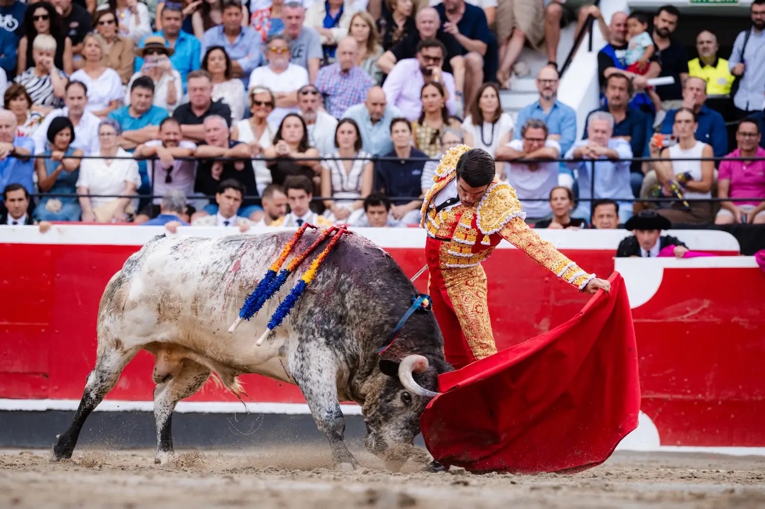 Imagen 2