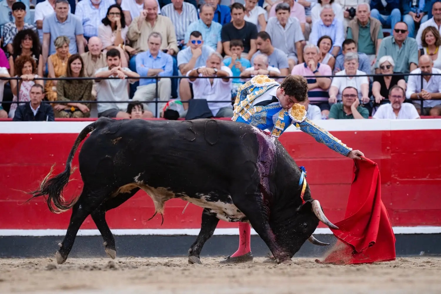 Imagen 6