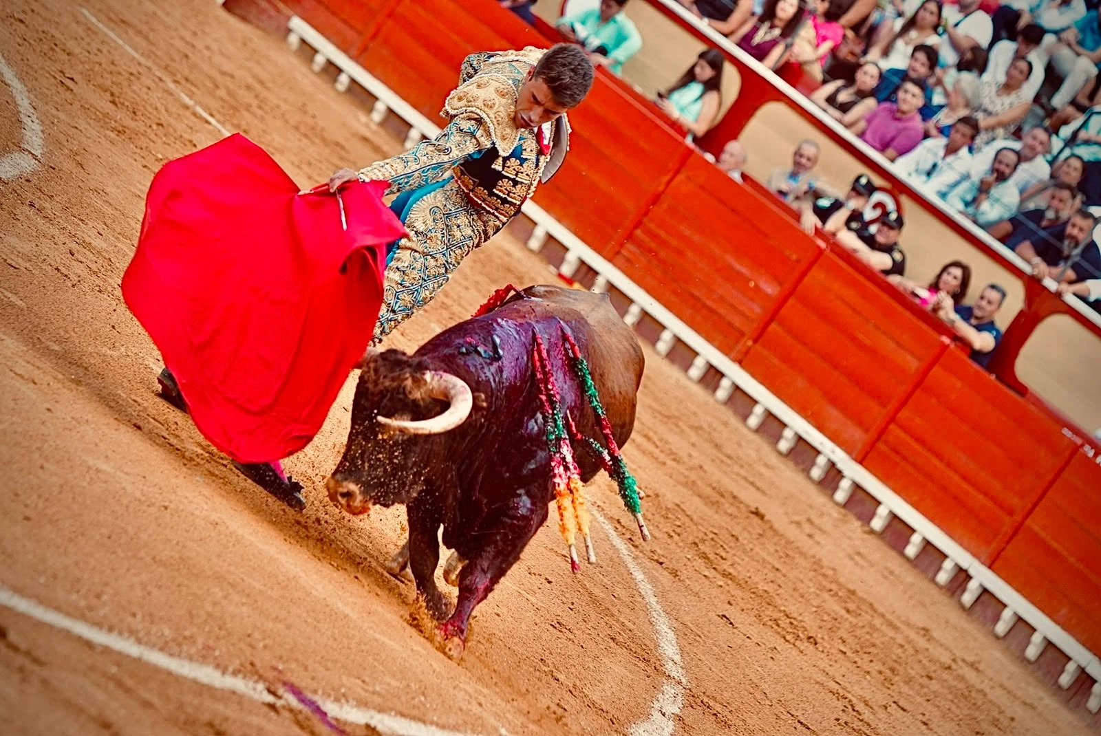 Imagen 3