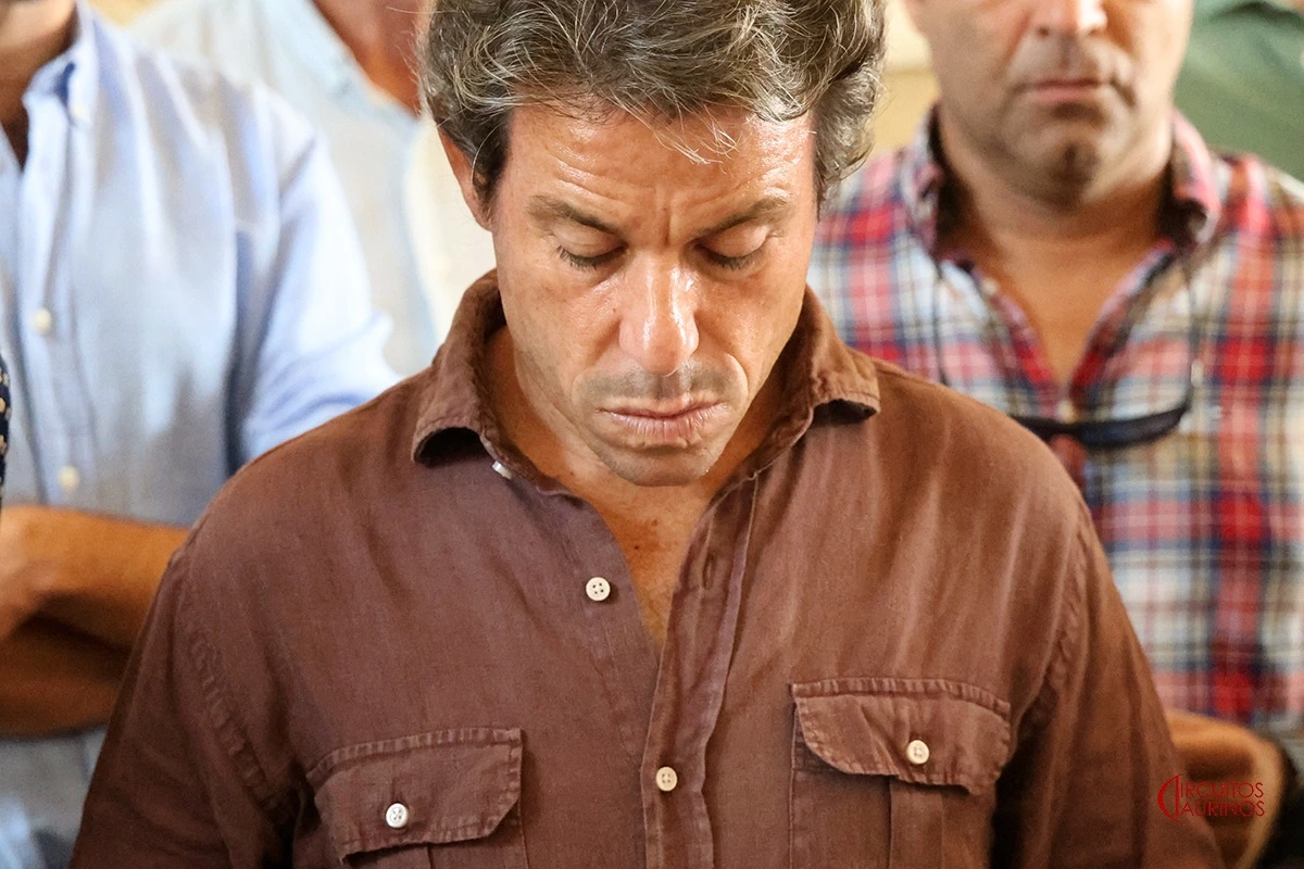 Imagen 16