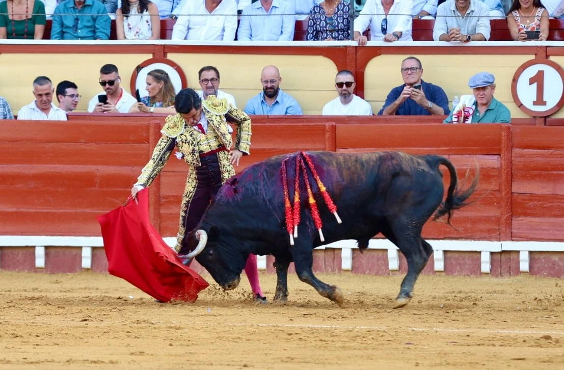 Imagen 1