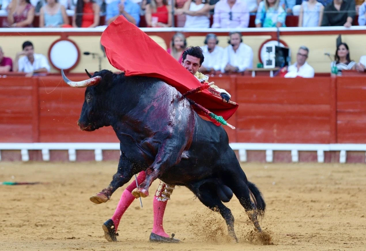 Imagen 6