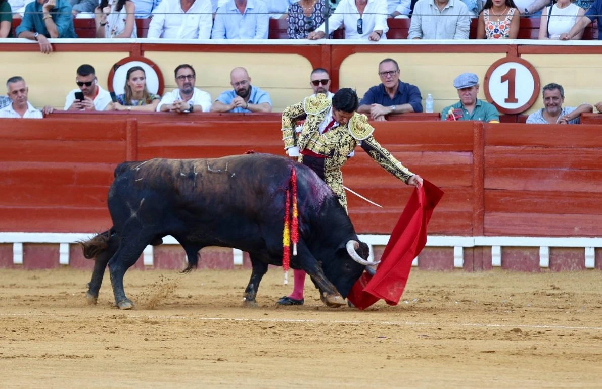 Imagen 8