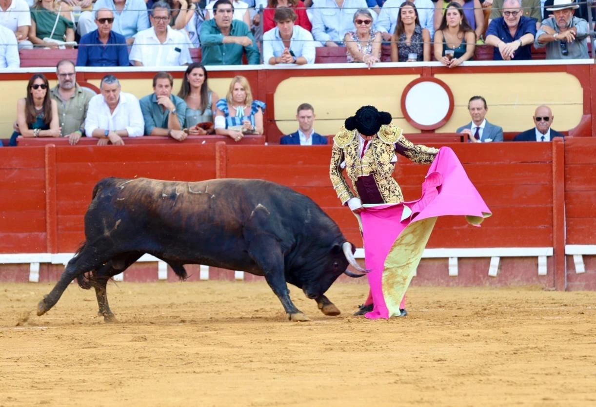 Imagen 9