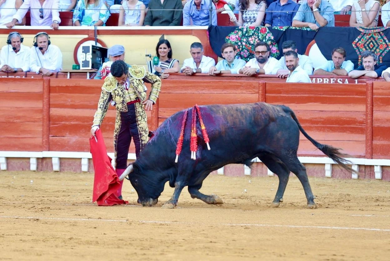 Imagen 10