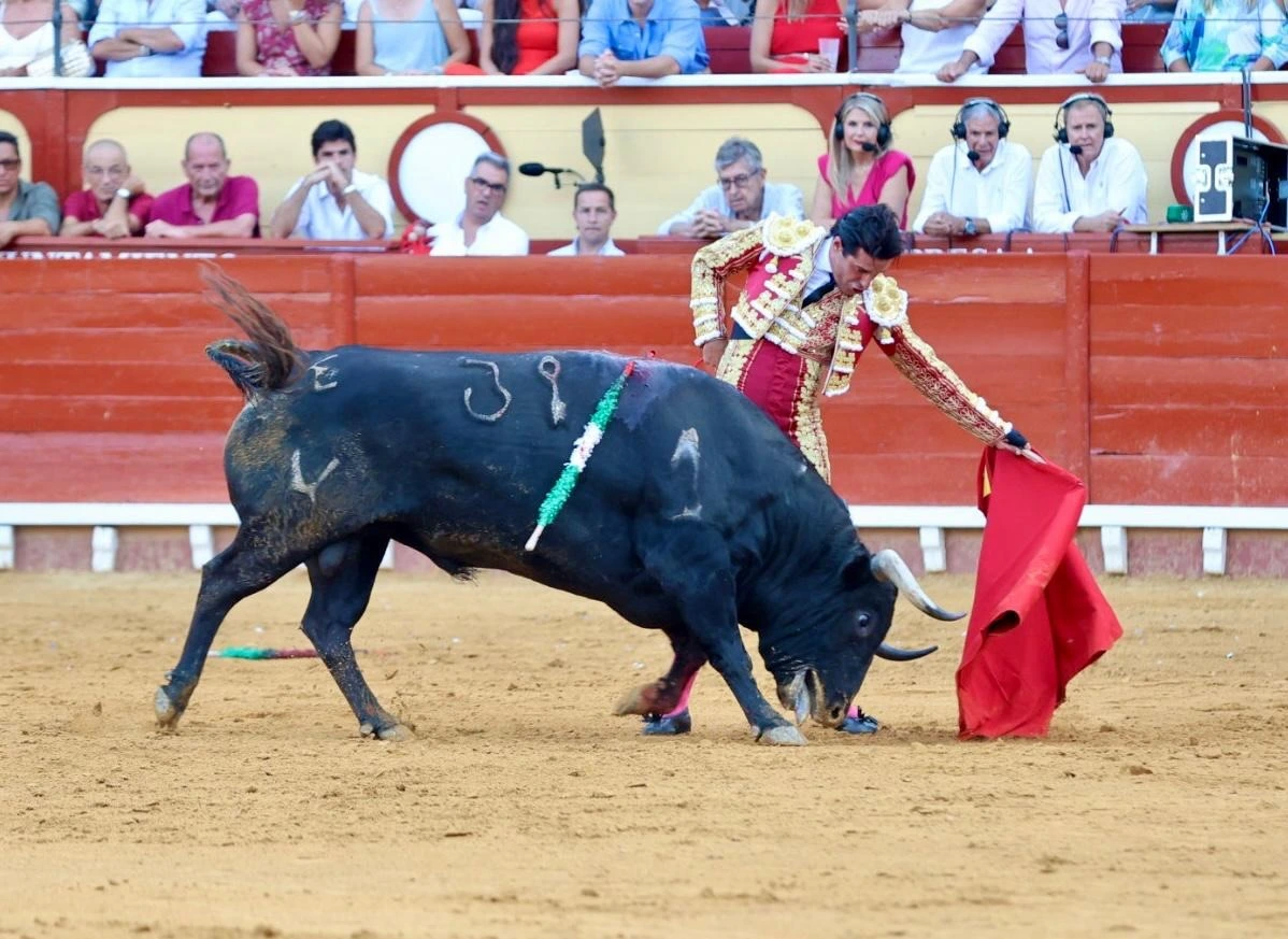 Imagen 12