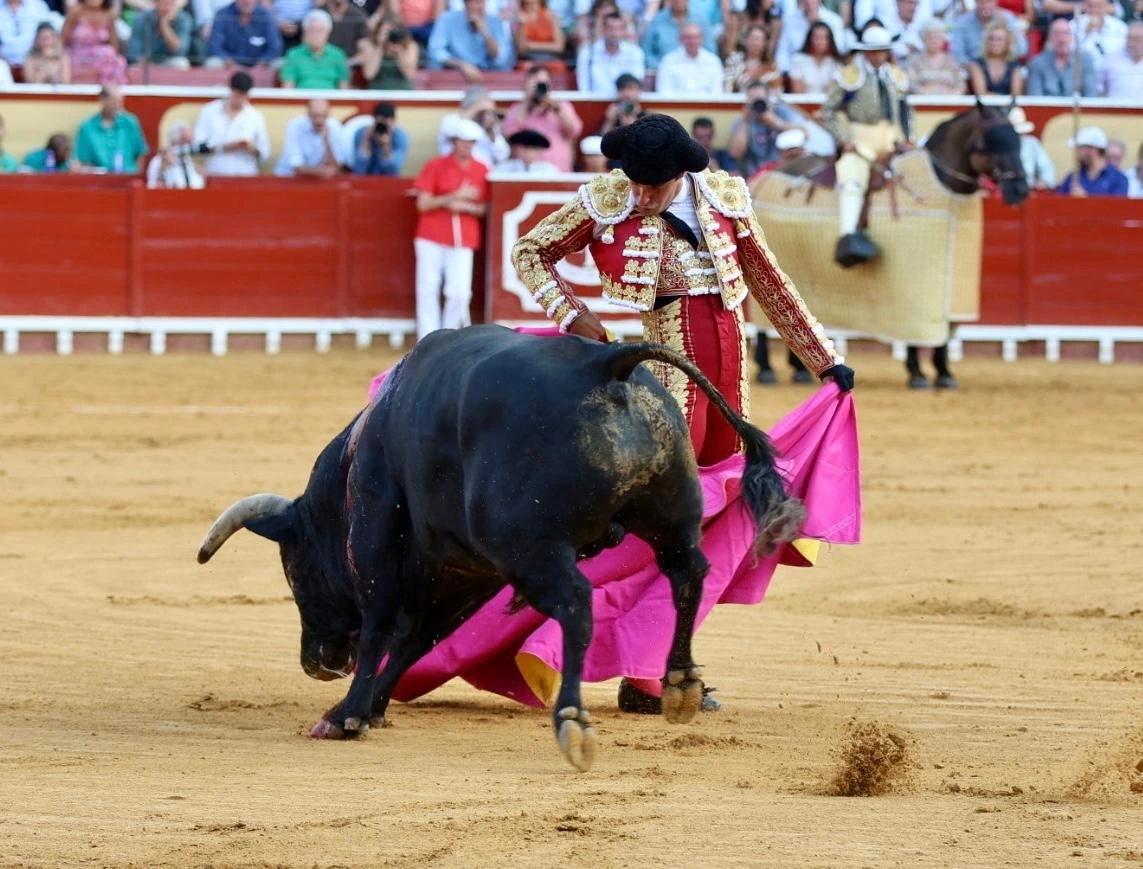 Imagen 13